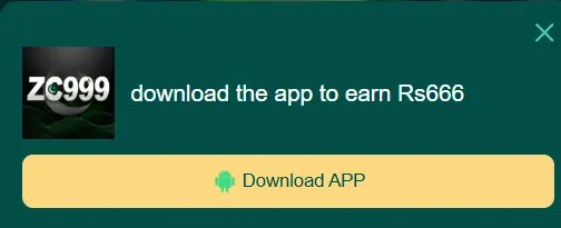 ZC999 Download
